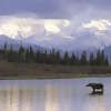 Holland America Line Teams Up with Sony to Offer Guests an Unforgettable Alaskan Adventure and Photography Experience