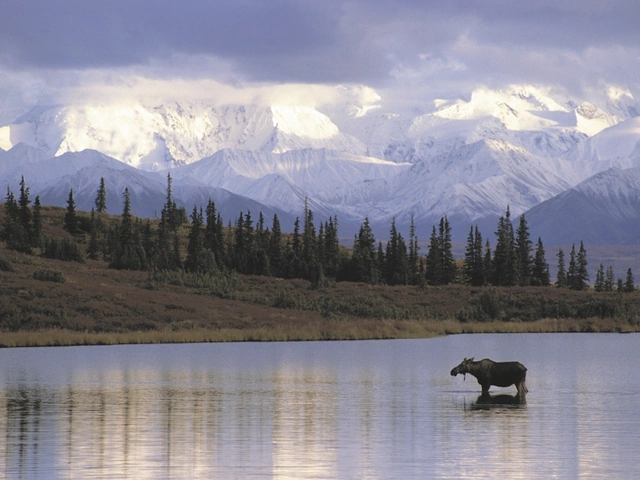 Holland America Line Teams Up with Sony to Offer Guests an Unforgettable Alaskan Adventure and Photography Experience