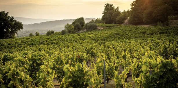 Sandover - Adventures in France: July 2026