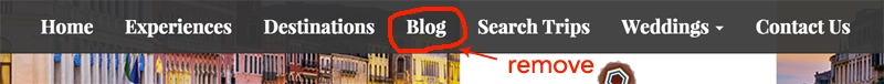 Remove blog link to the top menu