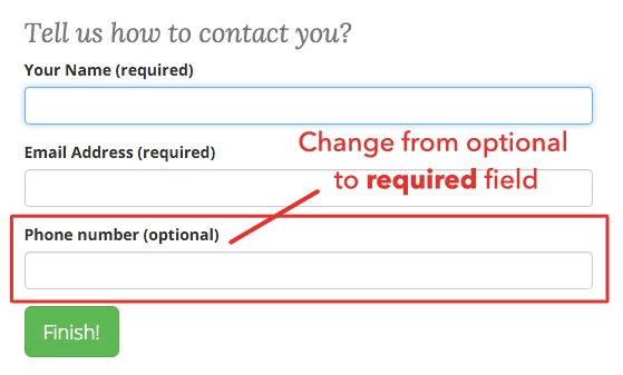 Phone Field Lead Form