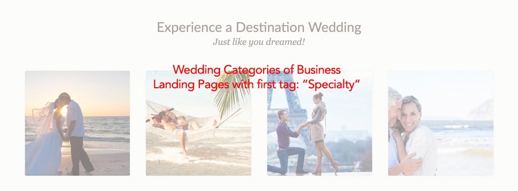 Category of Business