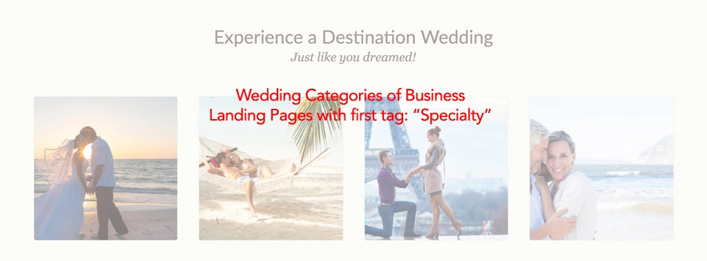 Category of Business