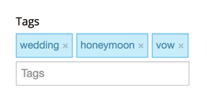 Post Tags