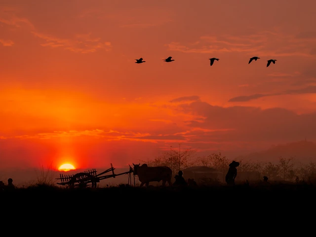 JWH TRAVEL BITS AND MORE…April 09 , 2020