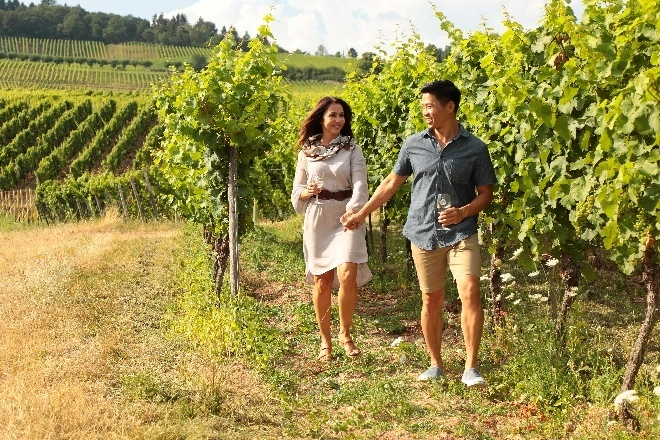 Save Exploring the Wine Regions of Europe on an AmaWaterways River Cruise; New 2020 and 2021 Wine Itineraries