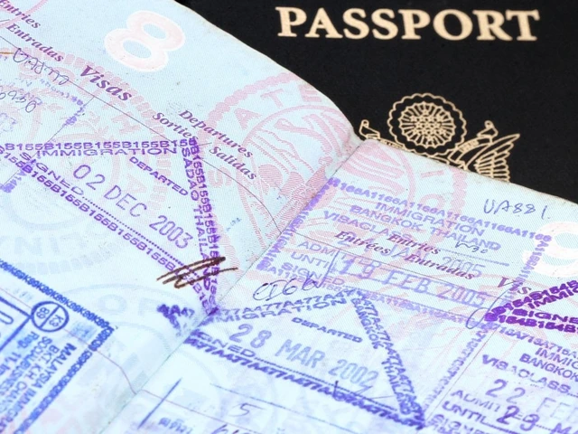 International Travel Documents: What to Bring and How to Keep Them Safe