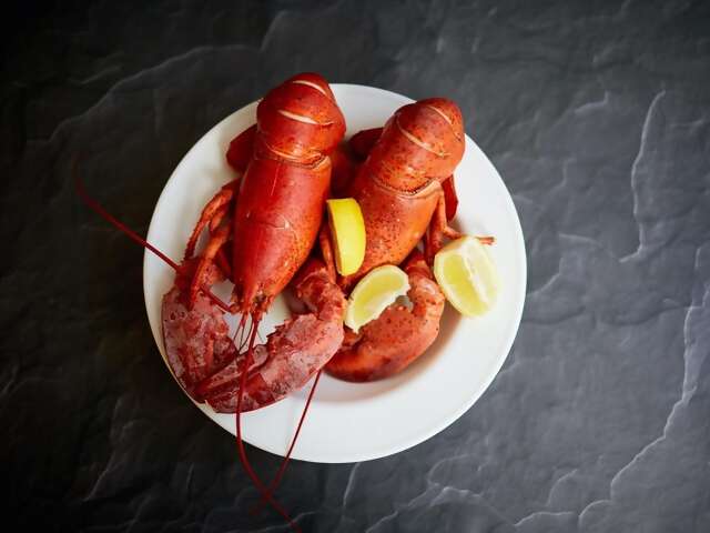 Grab a Wee Bite in Scotland