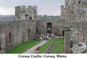 C19 O'Donoghue Music & Tours