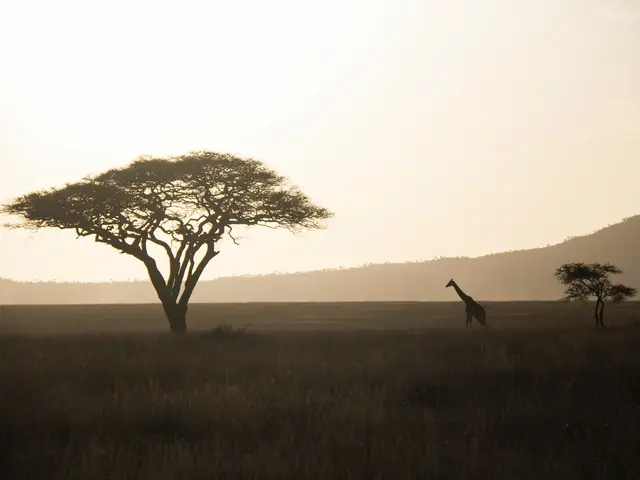 Savoring & Saving Africa's Wilderness