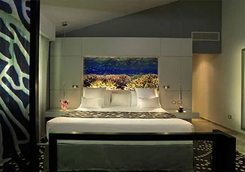 Paradisus Punta Cana