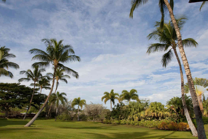 The Islands at Mauna Lani 4 star, Hawaii grounds