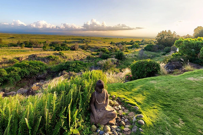Frank Lloyd Wright Home 4.5 Star, Waimea, Hawaii yard