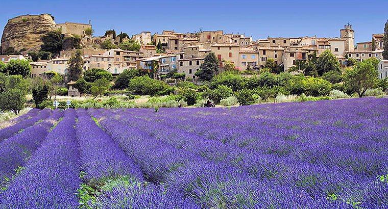 Грасс франция