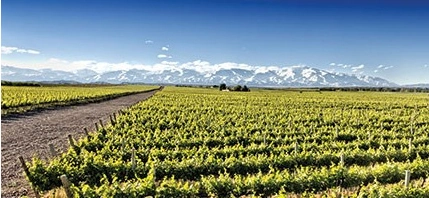 Mendoza