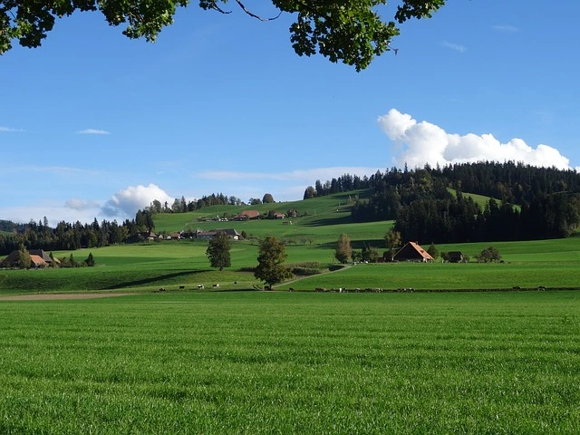 Tuesday, August 4: Emmental