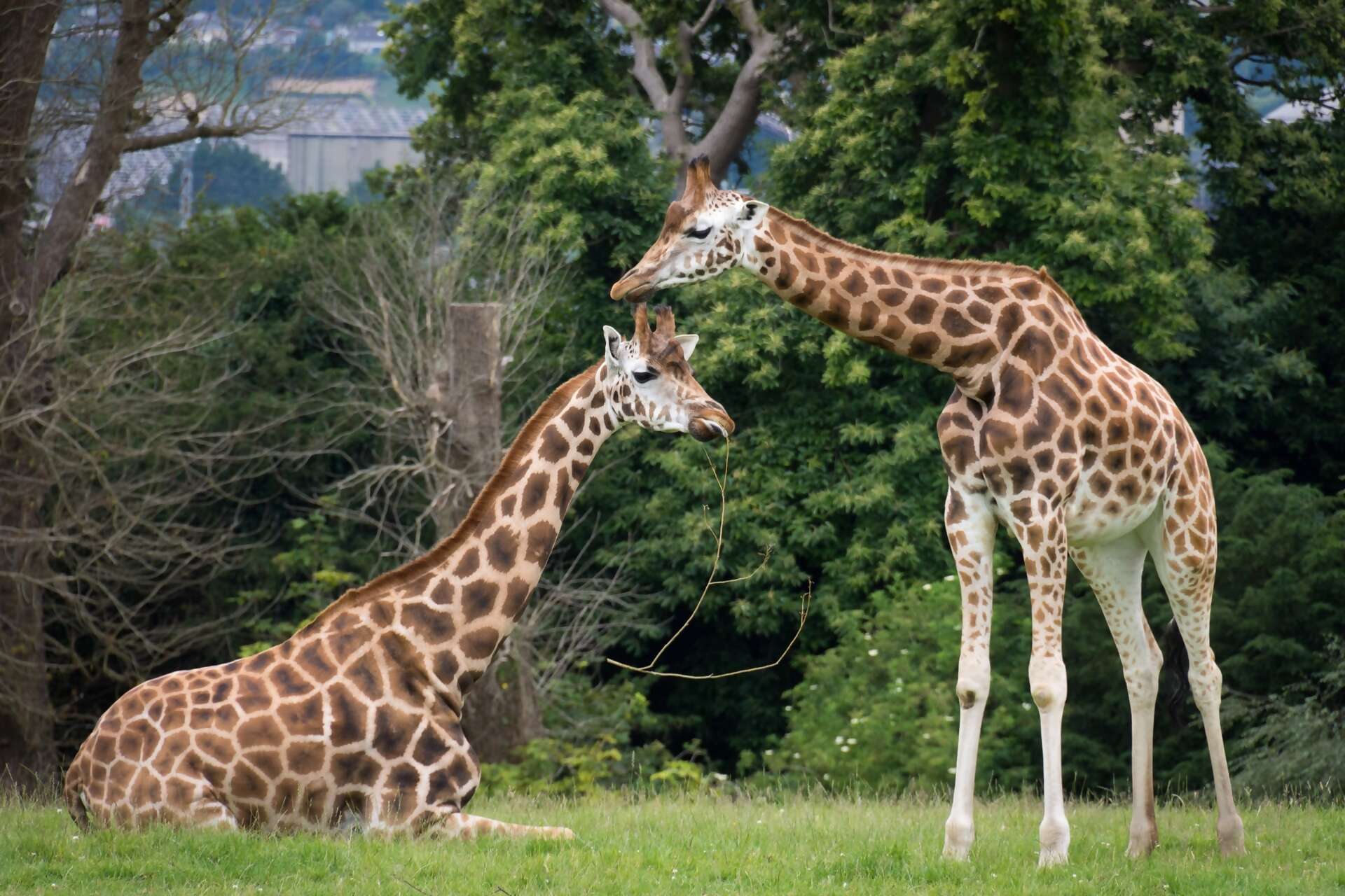 Best Personalized Travel Experience…