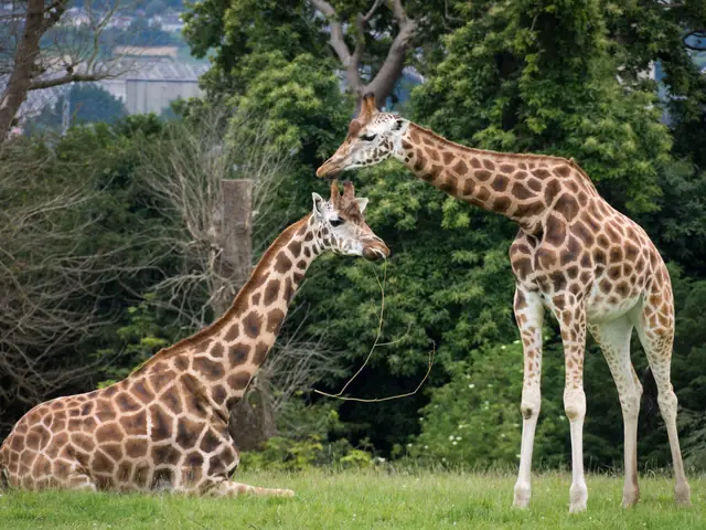 Best Personalized Travel Experience…