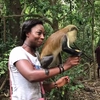 Tafi-Atome Monkey Sanctuary