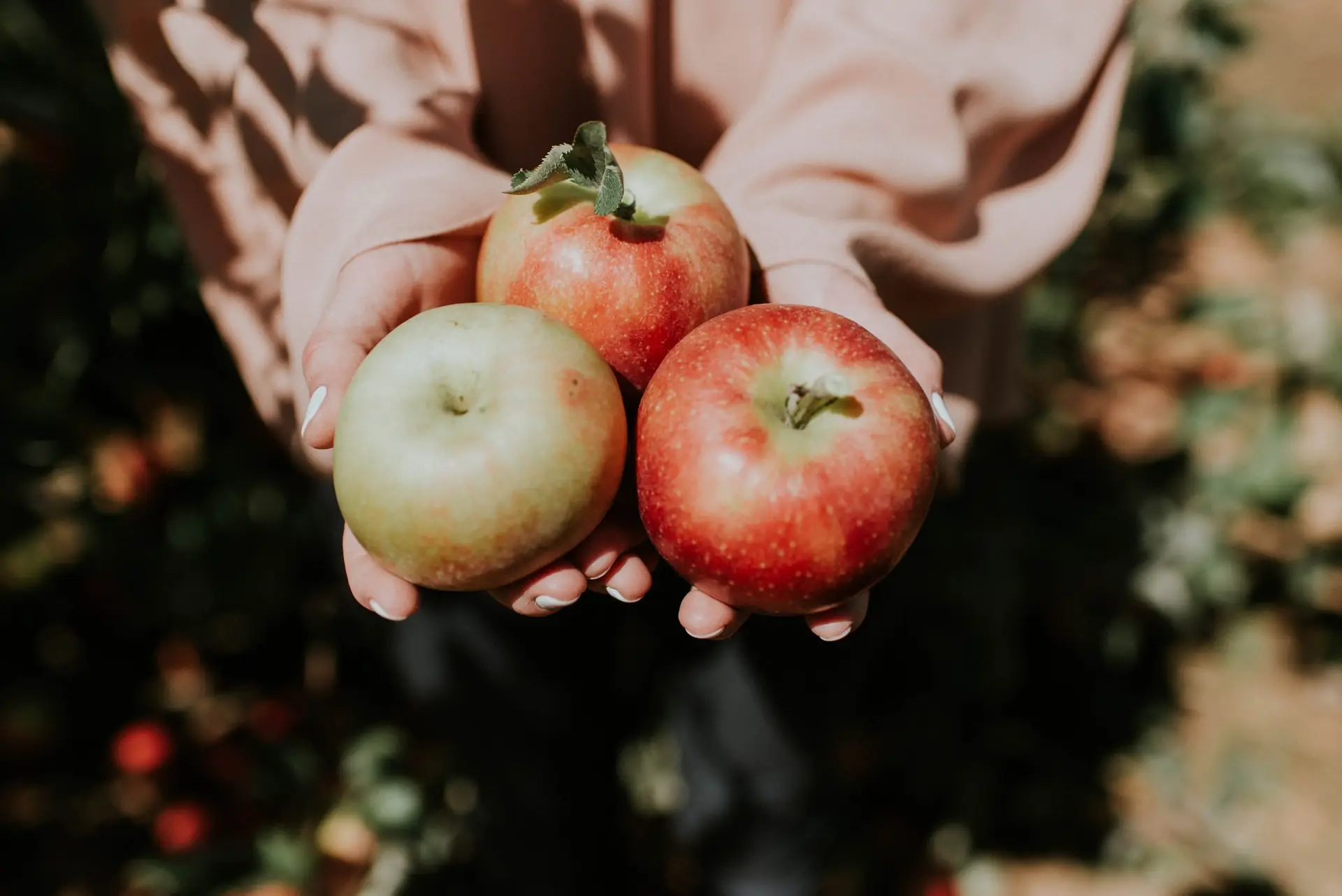 Fall Reflections – thinking of Apple Cake!