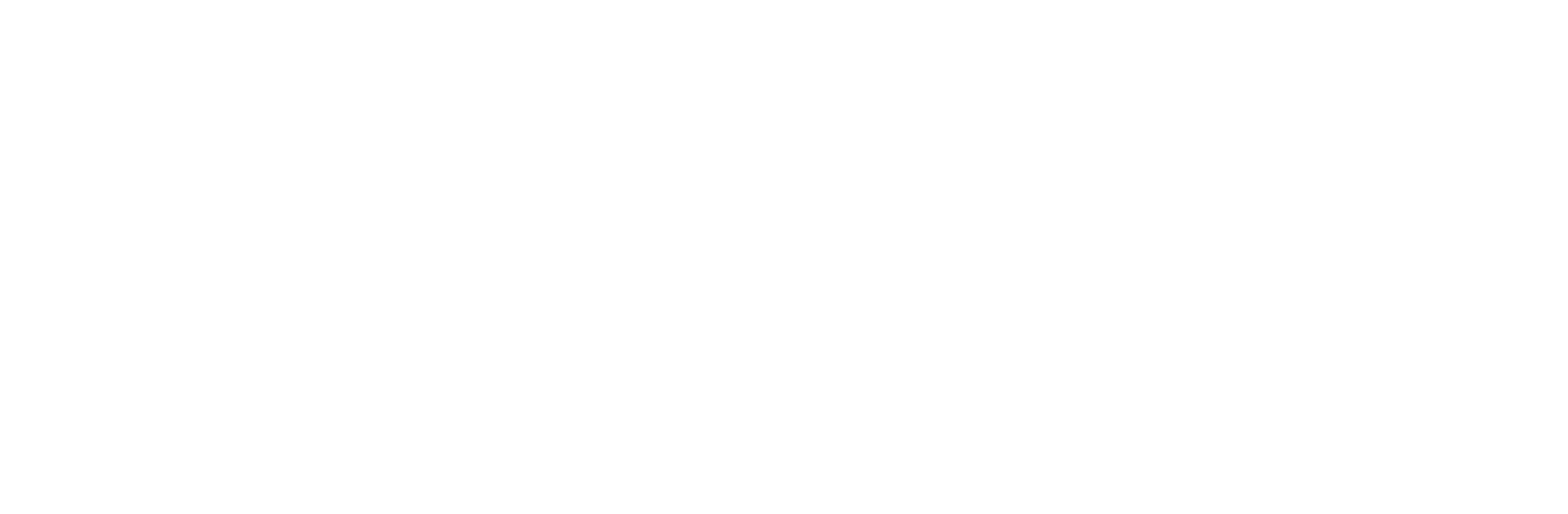 Newhall-Valencia Travel Logo