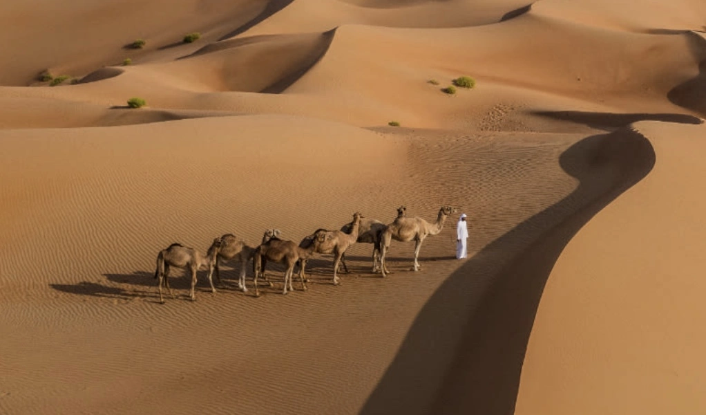 Qasr al Sarab