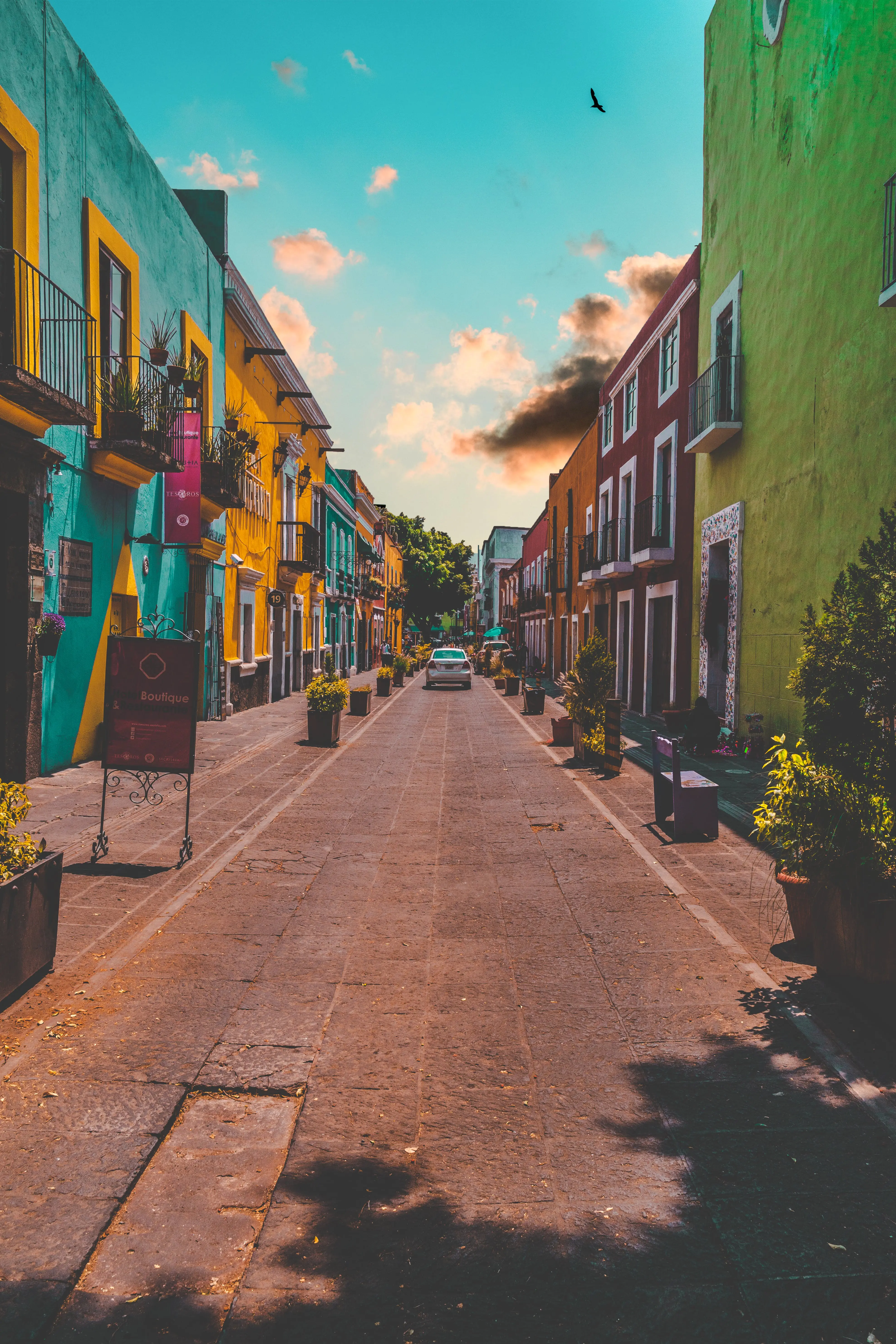 Visas & Entry Requirements for Mexico