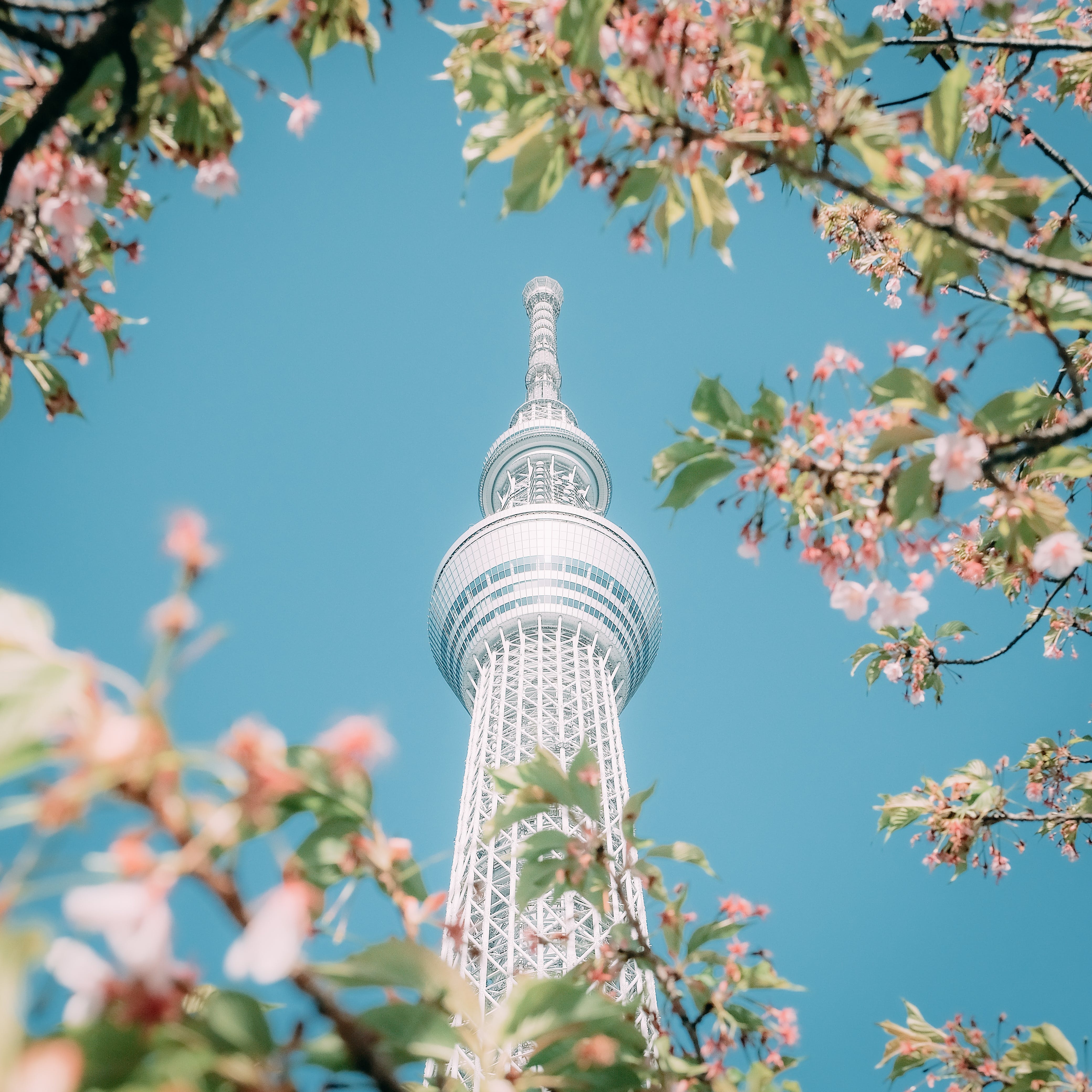 Tokyo Sky Tree Tokyo, Japan