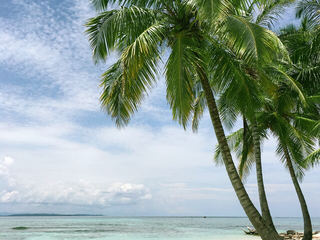 Wave season and why book a cruise between January and March?