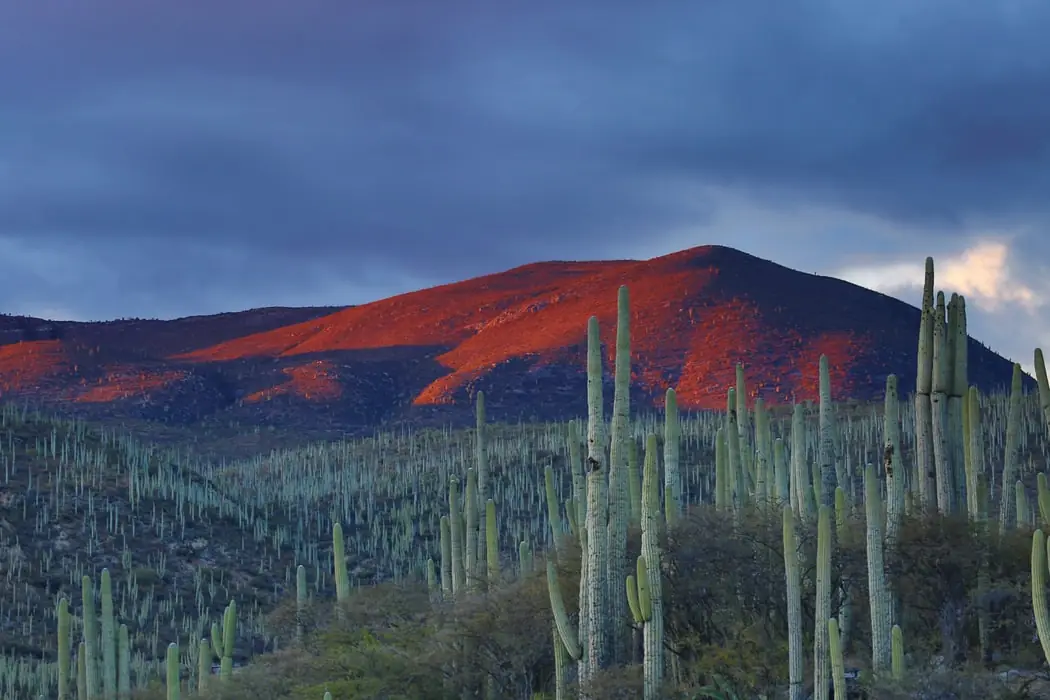 JWH TRAVEL BITS AND MORE…April 24, 2020
