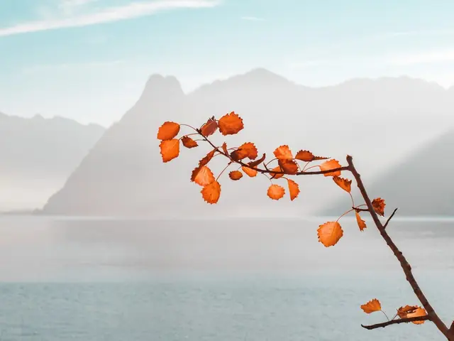 JWH TRAVEL BITS AND MORE...September 13, 2019