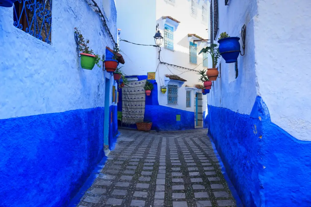 Morocco Real Food Adventure