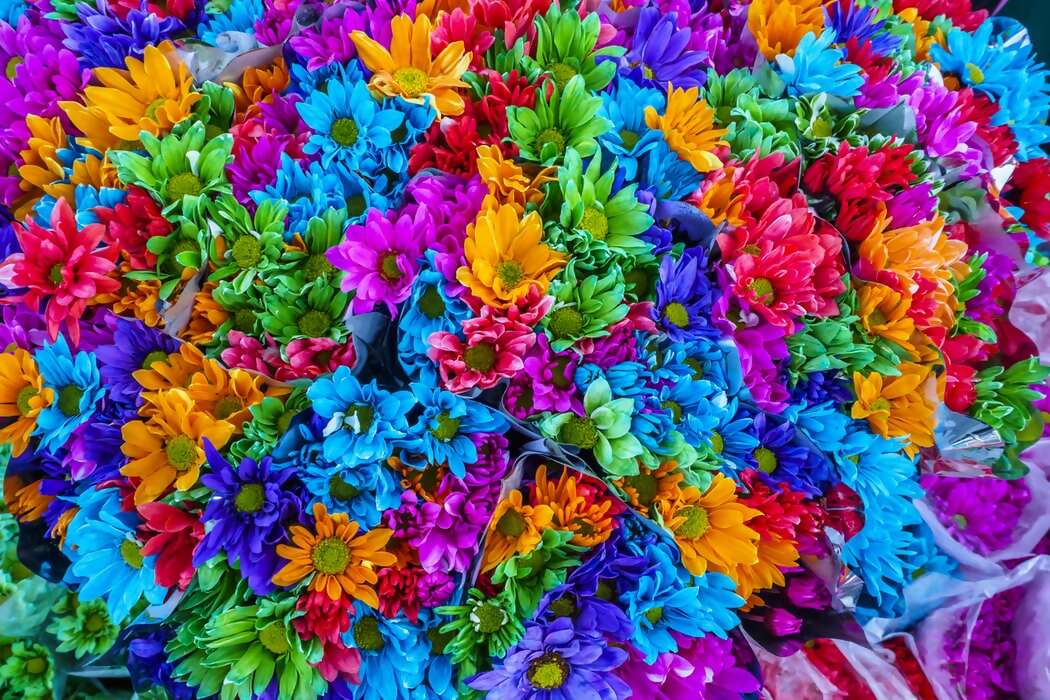 JWH TRAVEL BITS AND MORE…MAY 13, 2021