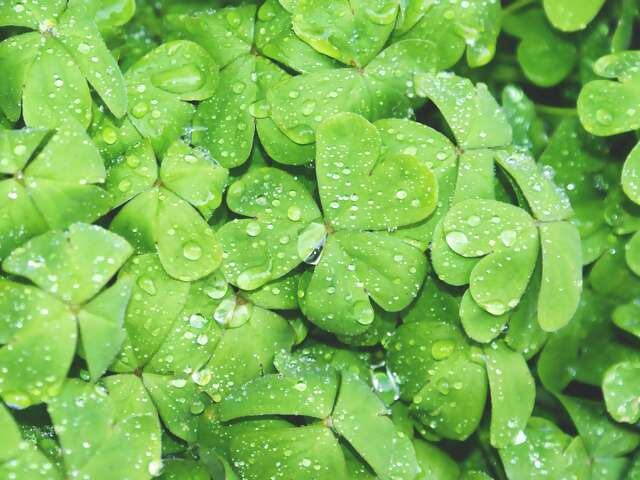 The Colorful Culture of Ireland