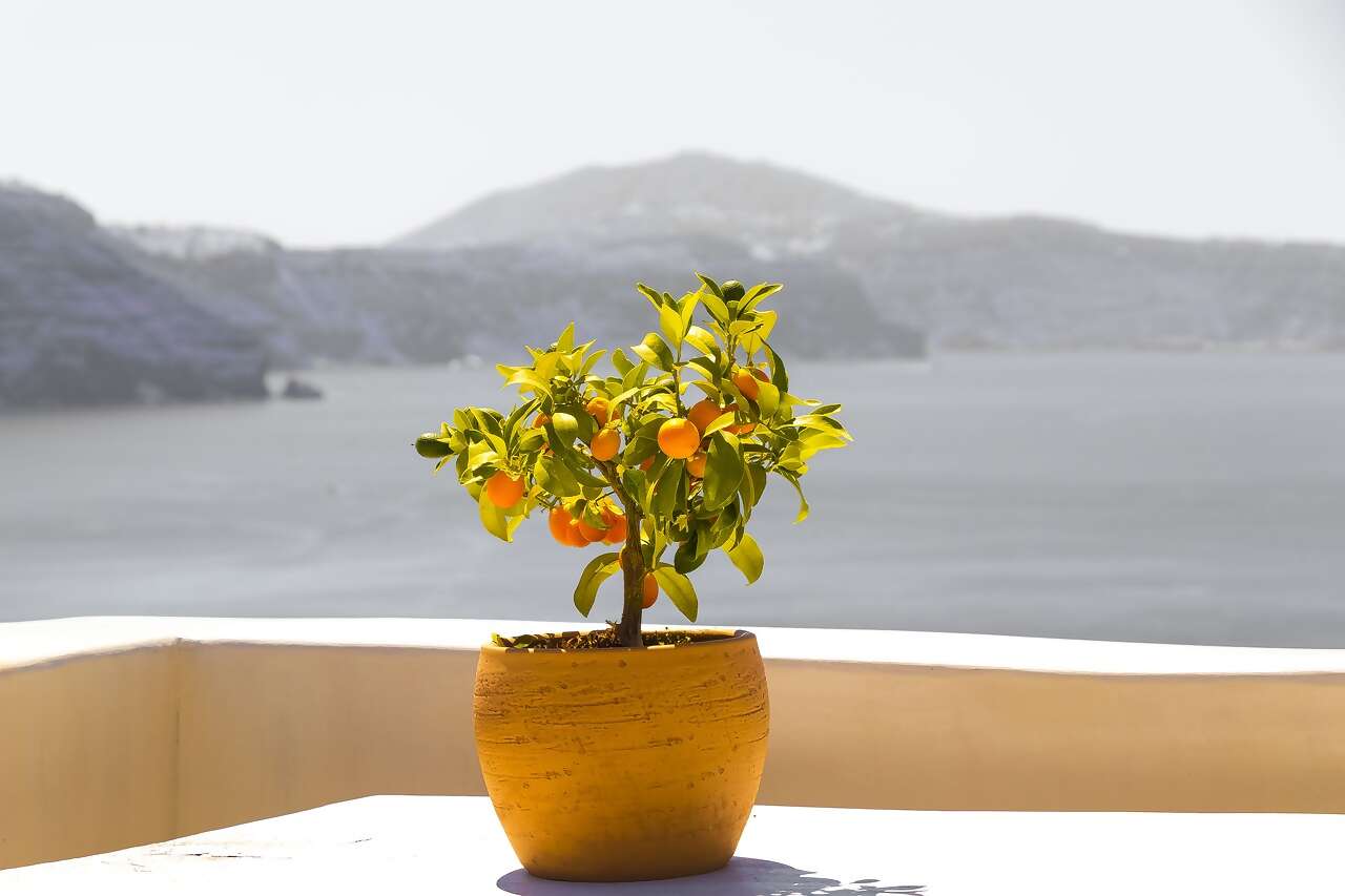 JWH TRAVEL BITS AND MORE...JUNE 10, 2021