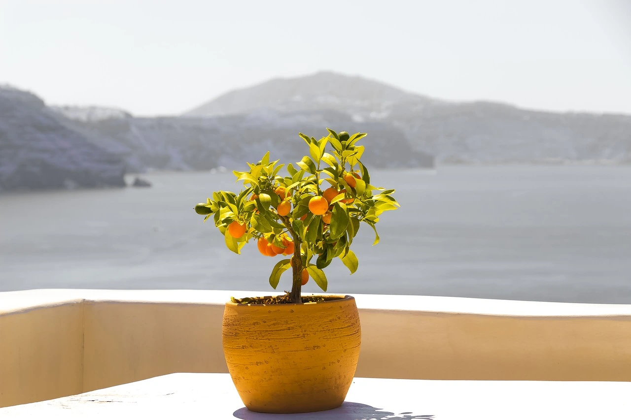 JWH TRAVEL BITS AND MORE...JUNE 10, 2021