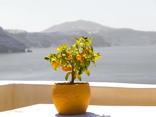 JWH TRAVEL BITS AND MORE...JUNE 10, 2021