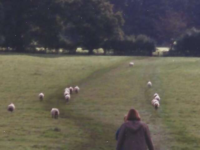 What Sights And Sounds Will You Carry With You?