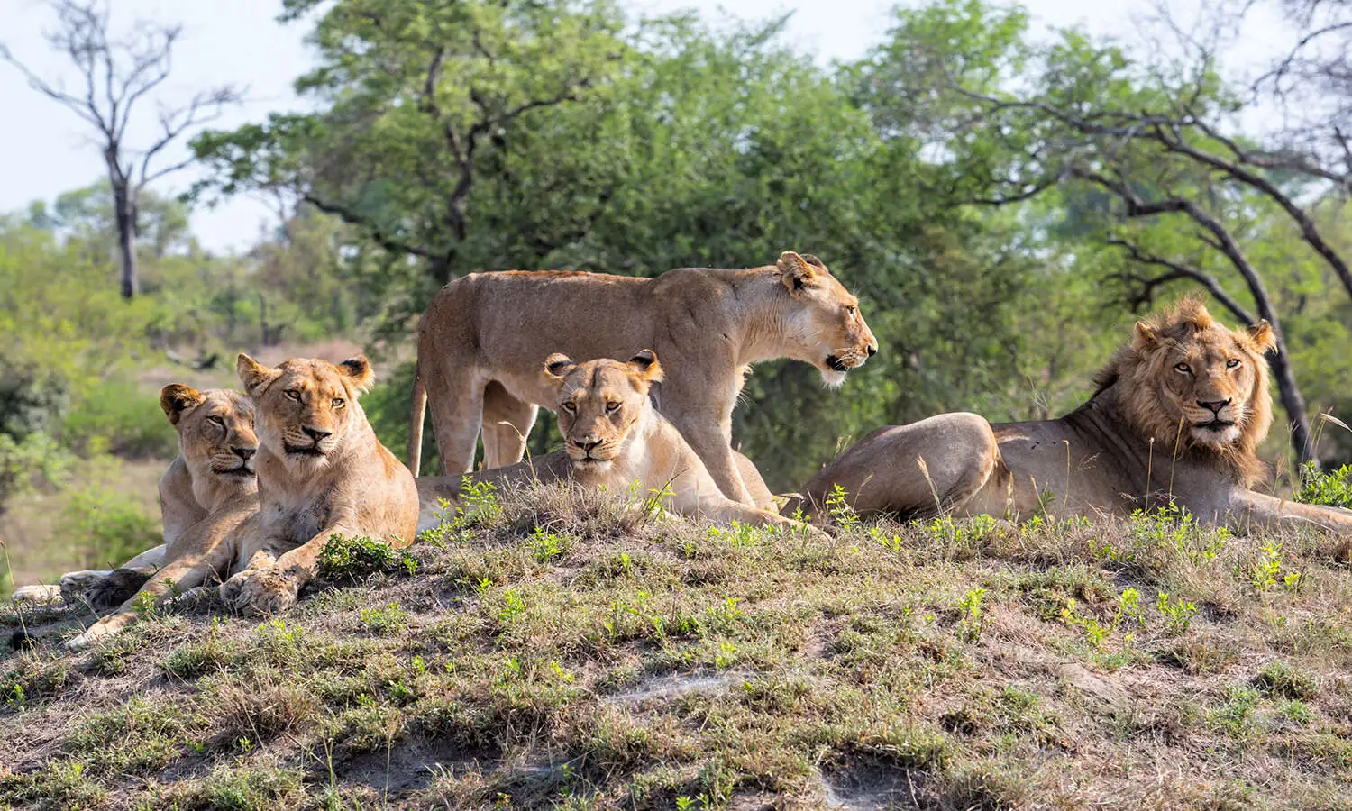 Karongwe Game Reserve