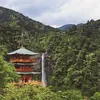 6 days Japan 101