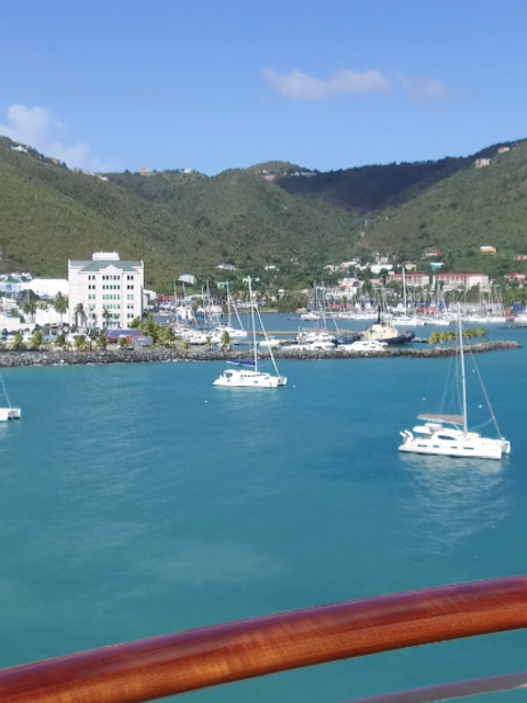 'Fungi Fest' in the British Virgin Islands: It's Not About Mushrooms!