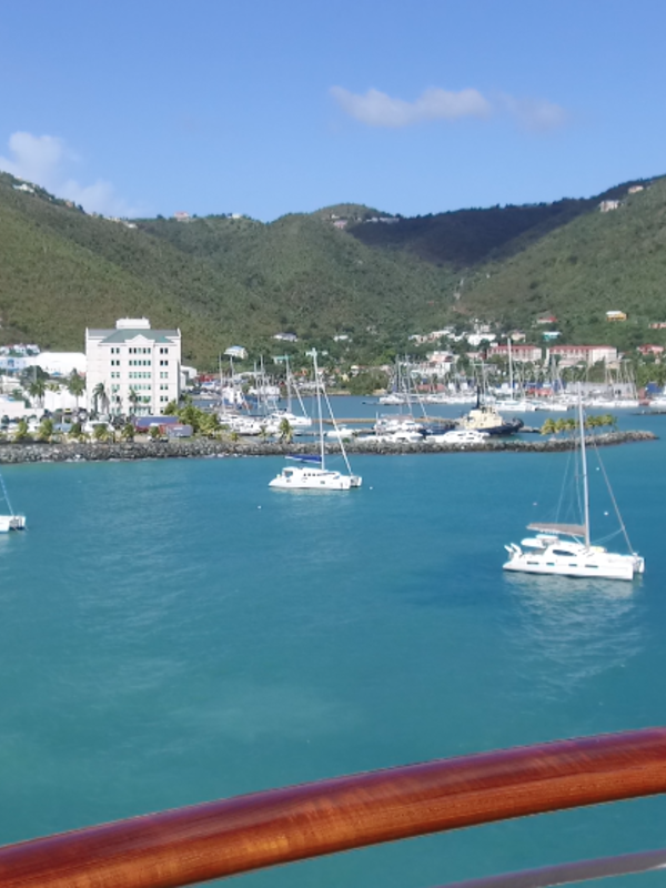 'Fungi Fest' in the British Virgin Islands: It's Not About Mushrooms!