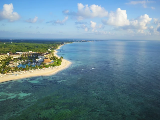 Instagram consultants for your beach wedding and so much more...