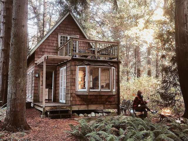 Start your day with coffee by the fire at Pat’s cozy cottage on the edge of the pristine Lily Point Marine Park