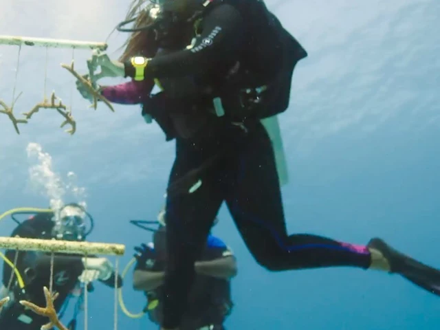 Even giants need a helping hand sometimes