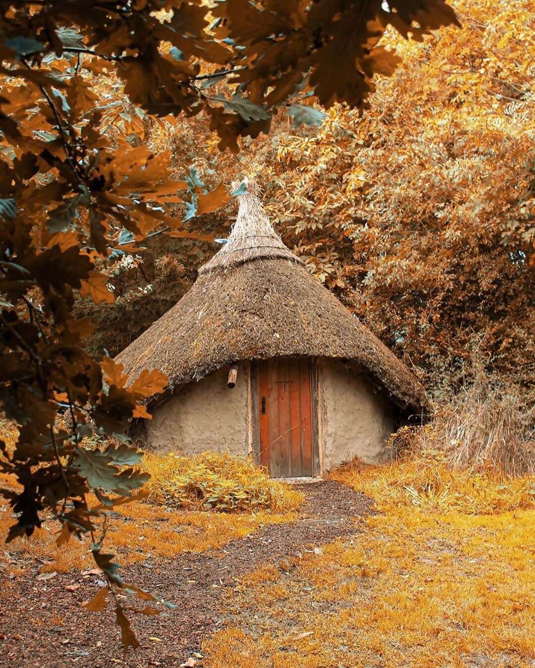 Despite appearances, Superhost Amanda’s woodland hut didn’t actually spring up from the earth