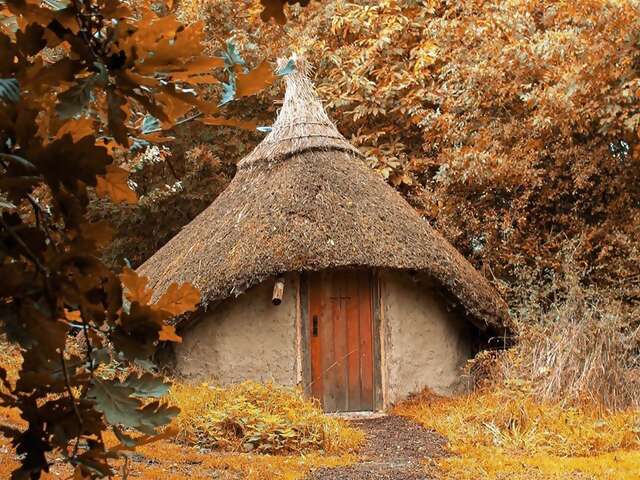 Despite appearances, Superhost Amanda’s woodland hut didn’t actually spring up from the earth