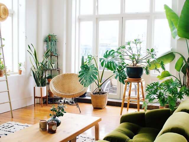 If you think these plants look happy in this light, wait until you see what it does for humans