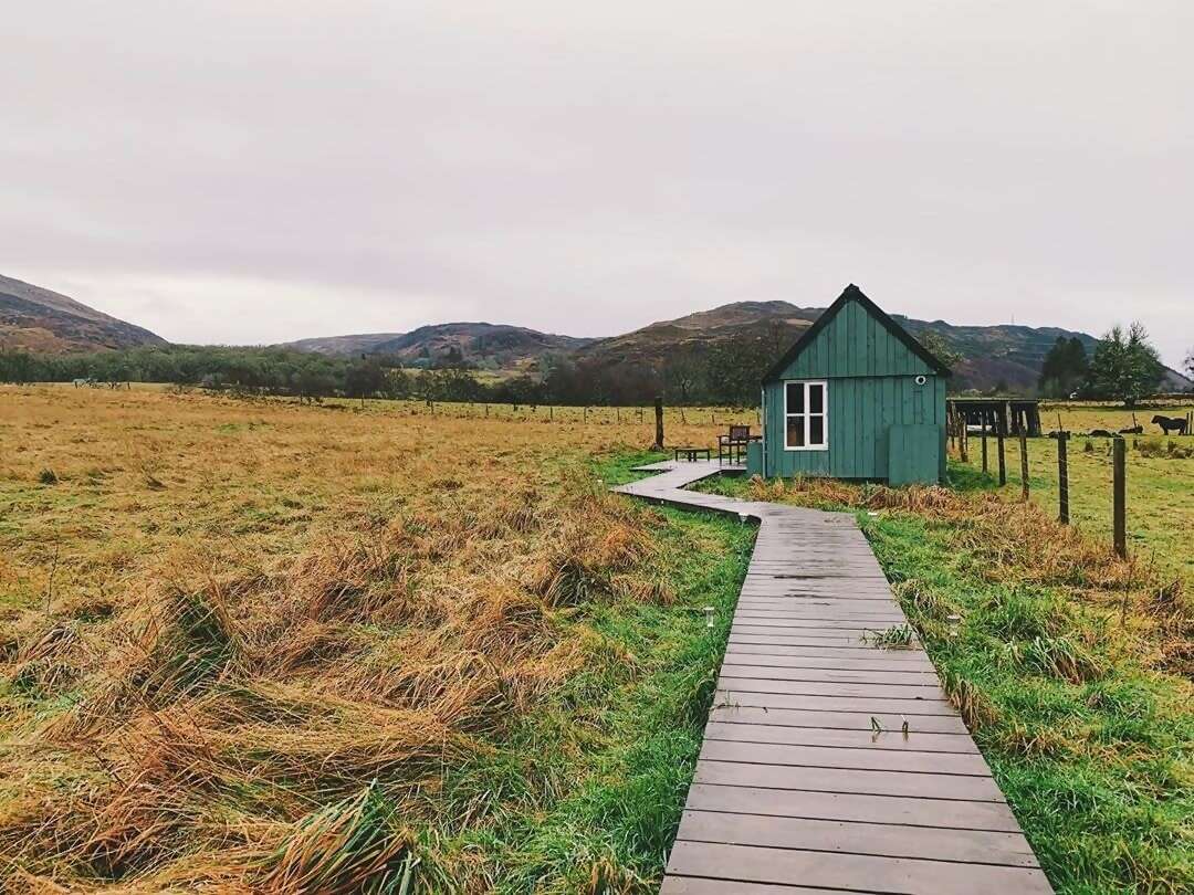 Superhost Olivia’s cozy house on a windswept field is perfect for quiet reflection