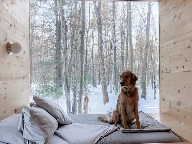 The toughest part of your stay in this cozy cube of a tiny cabin is posing for a picture when you’d rather be staring out the win